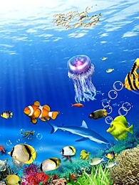 国产鳕鱼捕捞视频,海洋捕捞的辛勤与收获