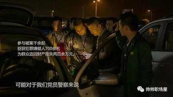 国产迷系列视频观看,揭秘国产影视作品的魅力与传承